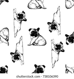 Seamless pattern of hand drawn sketch style french bulldog puppies. Vector illustration isolated on white background.