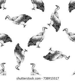 Seamless pattern of hand drawn sketch style African vulture. Vector illustration isolated on white background.