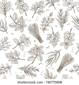 Seamless pattern with hand drawn sketch herbs and spices for farmers market menu design. Vector background culinary herbs in ink retro style.