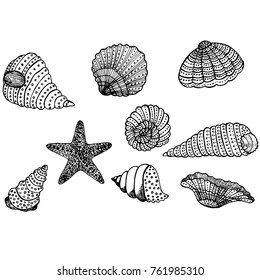 Seamless pattern of hand drawn sketch style Seashell.Vector illustration isolated on white background.
