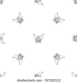 Seamless pattern of hand drawn sketch style Canadian sphinx.Vector illustration isolated on white background.