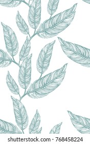 Seamless pattern of hand drawn sketch style set of bird feather, Vector illustration isolated on white background