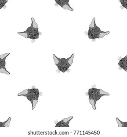 Seamless pattern of hand drawn sketch style Canadian sphinx. Vector illustration isolated on white background.