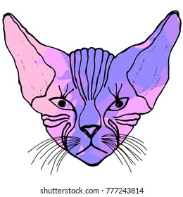 Seamless pattern of hand drawn sketch style Canadian sphynx. Vector illustration isolated on white background.