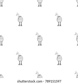 Seamless pattern of hand drawn sketch style Bird of cassowary. Vector illustration.