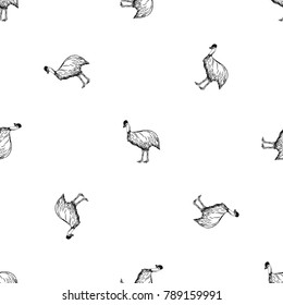 Seamless pattern of hand drawn sketch style Bird of cassowary. Vector illustration.