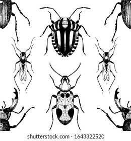 シームレスな模様と手描きの昆虫のスケッチ 繰り返しの虫やカブトムシのベクターイラスト 白黒の昆虫学的背景 のベクター画像素材 ロイヤリティフリー Shutterstock