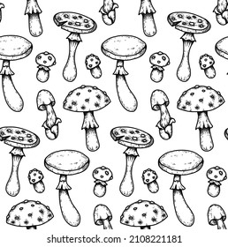 Seamless pattern with hand drawn sketches of poisonous mushrooms with hatching. Amanita and false mushrooms. Vector natural texture for wallpaper. Background with contour drawing of dangerous fungus