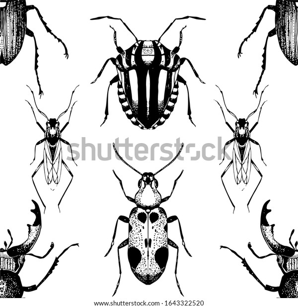 シームレスな模様と手描きの昆虫のスケッチ 繰り返しの虫やカブトムシのベクターイラスト 白黒の昆虫学的背景 のベクター画像素材 ロイヤリティフリー
