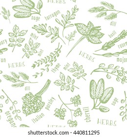 Seamless pattern with hand drawn spicy herbs. Culinary kitchen background with herbs. Perfectly look on kitchen textile, fabric. Vector illustration