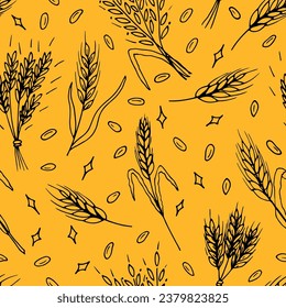 Seamless pattern with hand drawn spikelets of wheat in sketch. Grain ears. Rye, barley, wheat. Vector illustration