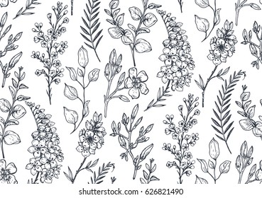 Seamless pattern with hand drawn spring flowers and plants in sketch style. Monochrome vector endless nature background.