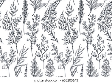 Seamless pattern with hand drawn spring flowers and plants in sketch style. Monochrome vector endless nature background