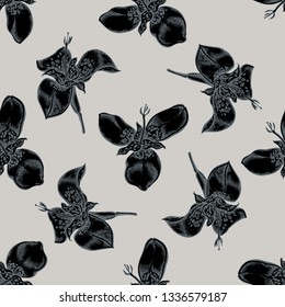 Seamless pattern with hand drawn stylized tigridia