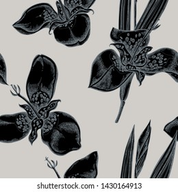 Seamless pattern with hand drawn stylized tigridia
