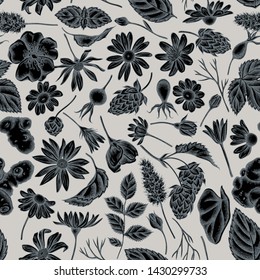 Seamless pattern with hand drawn stylized celandine, chamomile, dog rose, hop, jerusalem artichoke, peppermint
