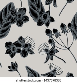 Seamless pattern with hand drawn stylized hypericum