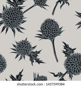 Seamless pattern with hand drawn stylized globethistle