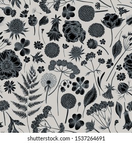 Seamless pattern with hand drawn stylized shepherd's purse, heather, fern, wild garlic, clover, globethistle, gentiana, astilbe, craspedia, lagurus, black caraway, chamomile, dandelion, poppy flower