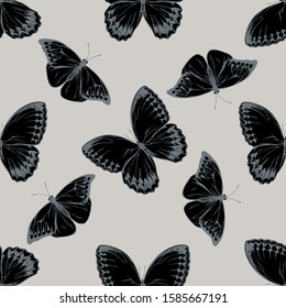 Seamless pattern with hand drawn stylized hebomoia glaucippe, stichophthalma howqua