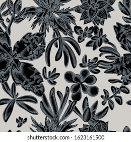 Seamless pattern with hand drawn stylized succulent