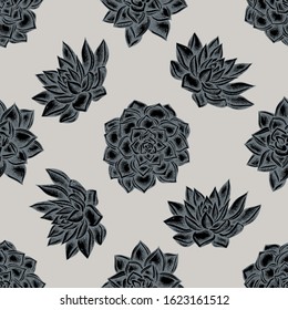 Seamless pattern with hand drawn stylized succulent echeveria, succulent echeveria, succulent