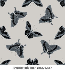 Seamless pattern with hand drawn stylized wallace s golden birdwing, emerald swallowtail, swallowtail butterfly