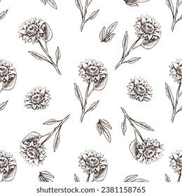 Seamless pattern of hand drawn sunflower. Monochrome flower doodle. Black and white vintage element. Vector sketch. Detailed retro style.