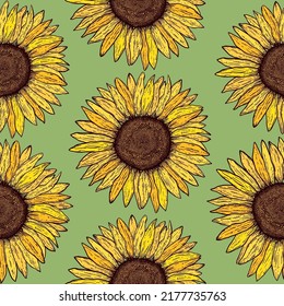 Seamless pattern with  hand drawn sunflowers on green background.