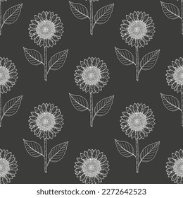 Seamless pattern with hand drawn sunflowers. Vector illustration