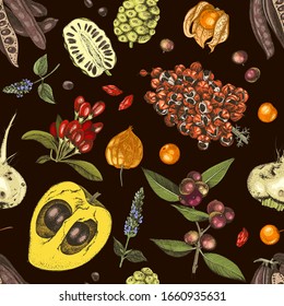 Patrón inoxidable con plantas de superalimentos dibujadas a mano sobre fondo oscuro. Plantilla de diseño. Ideal para el diseño de paquetes