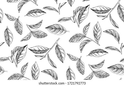 Seamless pattern with hand drawn tea leaves and branches. Vector illustration