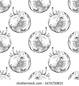Seamless pattern Hand Drawn tomato doodle. Sketch style icon. Decoration element. Isolated on white background. Flat design. Vector illustration.
