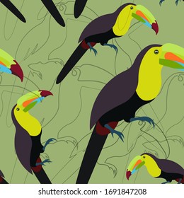 Seamless pattern with hand drawn Toucan on a colored background
