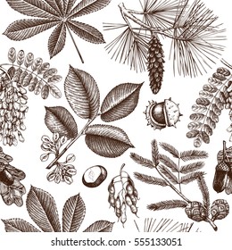 Seamless pattern with hand drawn trees sketch. Spring background with decorative elm, oak, acacia, pine, cypress, chestnut illustration. Vector botanical elements.