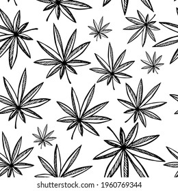 Seamless pattern hand drawn tropical plants, leaf, leaves. In doodle style, black outline isolated on a white background. Design element for card, poster, social media banner, digital paper. Vector.