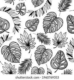 Seamless pattern hand drawn tropical plants, leaf, leaves. In doodle style, black outline isolated on a white background. Design element for card, poster, social media banner, digital paper. Vector.