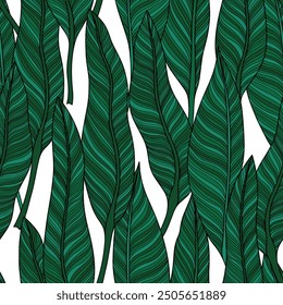 Patrón sin fisuras con hojas tropicales dibujadas a mano. Ilustración aislada en blanco.