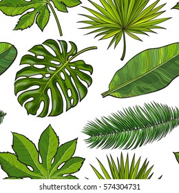 Seamless pattern of hand drawn tropical palm leaves on white background, sketch vector illustration. Hand drawn realistic tropical palm leaves as seamless pattern, background, backdrop, textile design