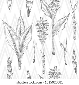 Seamless pattern with hand drawn of Turmeric roots, lives and flowers in black color isolated on white. Retro vintage graphic design. Botanical sketch drawing, engraving style. Vector illustration.