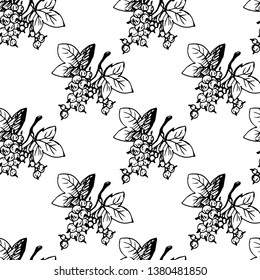 Сurrant. Seamless pattern. Hand drawn vector illustration.