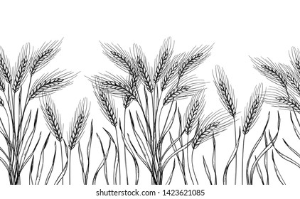 Seamless pattern. Hand drawn vector illustration - Wheat. Rustic background (branches and stalks of cereals). Design elements in engraving style. Perfect for advertising, prints, packing