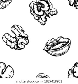 Seamless pattern. Hand drawn vector outline illustration of a walnut. Walnut kernels and shells. Handwritten graphic technique