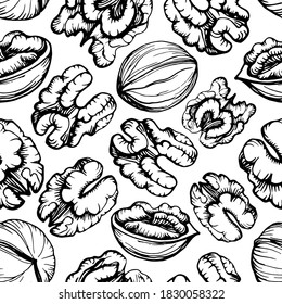 Seamless pattern. Hand drawn vector outline illustration of a walnut. Walnut kernels and shells. Handwritten graphic technique