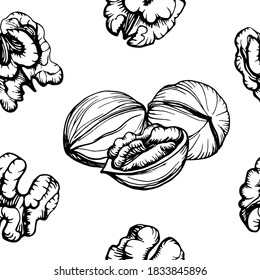 Seamless pattern. Hand drawn vector outline illustration of a walnut. Walnut kernels and shells. Handwritten graphic technique