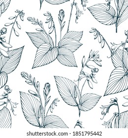 Seamless pattern. Hand drawn vector outline black and white illustration. Stylized image of hosta flowers and leaves. Handwritten graphic technique