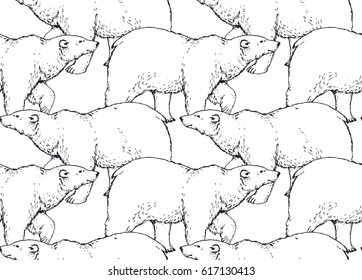 seamless pattern with hand drawn walking polar bear on white background