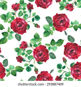 seamless pattern hand drawn watercolor rose with buds and leaves on a white background