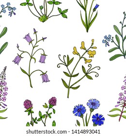 Seamless pattern with hand drawn wild flowers. Vector herbal background