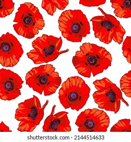 Seamless pattern with hand drawn wild red poppy flowers isolated on white background.